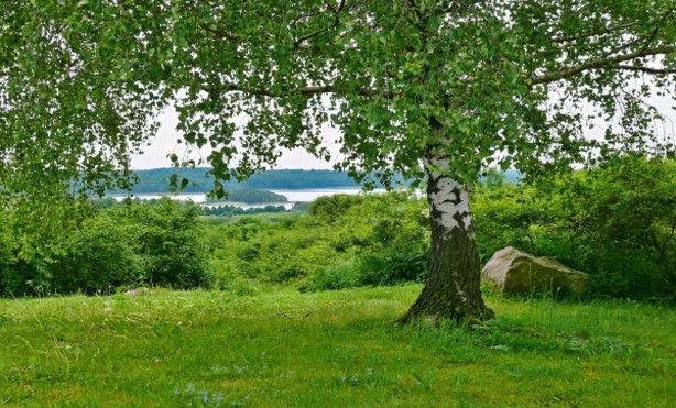 Feldberger Seenplatte